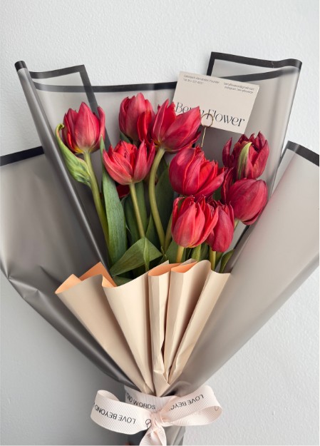Tulip Muse